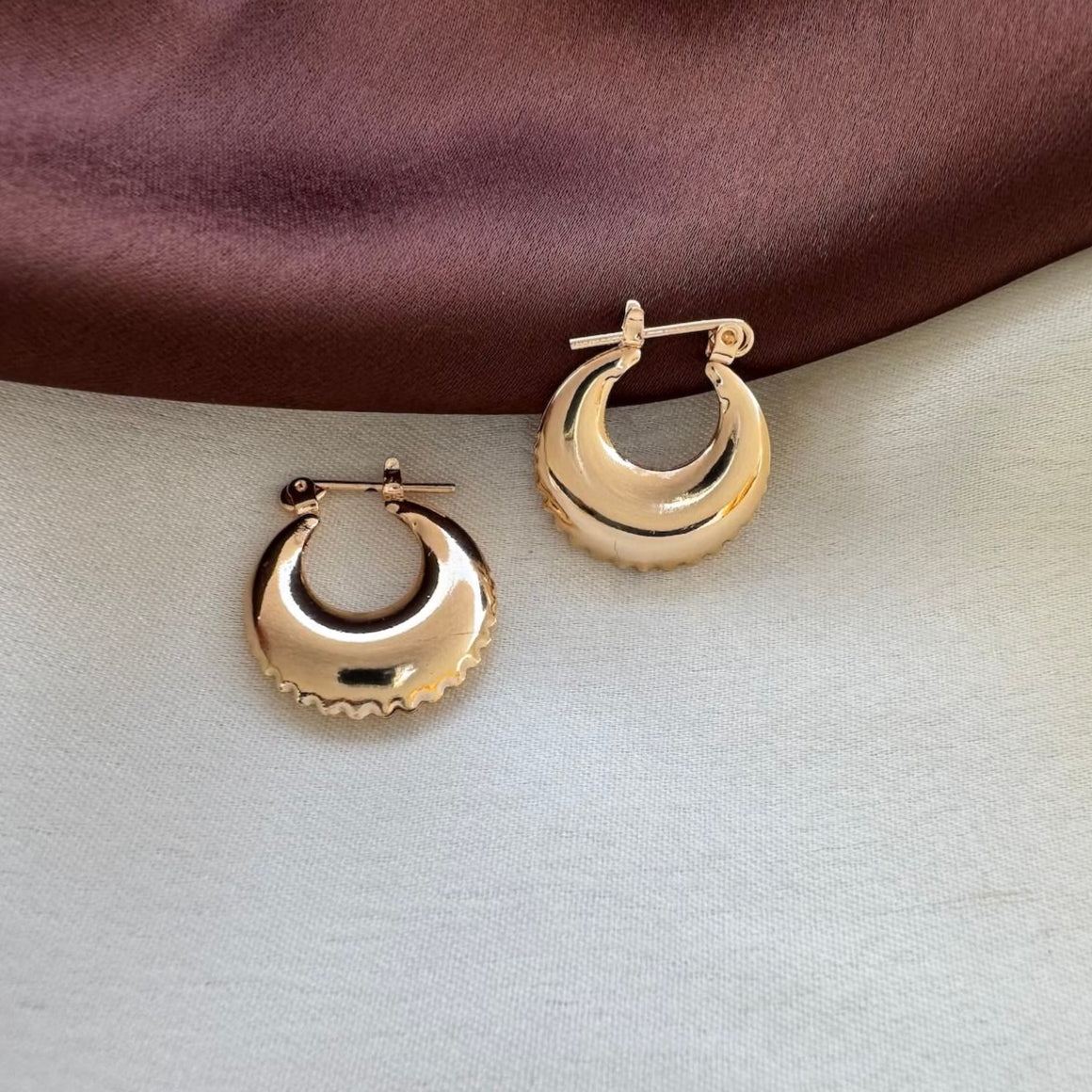 TFC Adorable Gold Plated Hoop Earrings