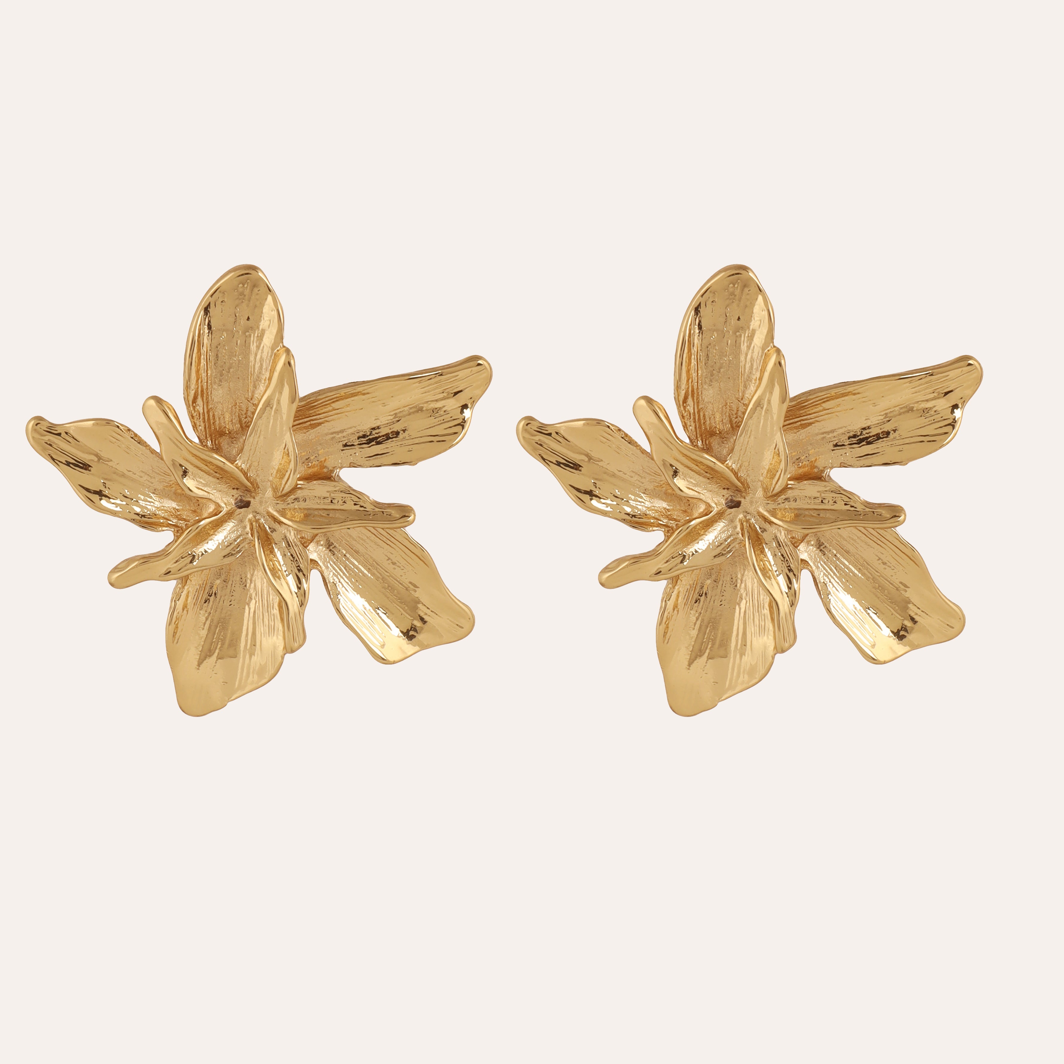 TFC Pretty Posy Gold Plated Stud Earrings-Discover daily wear gold earrings including stud earrings, hoop earrings, and pearl earrings, perfect as earrings for women and earrings for girls.Find the cheapest fashion jewellery which is anti-tarnis​h only at The Fun company