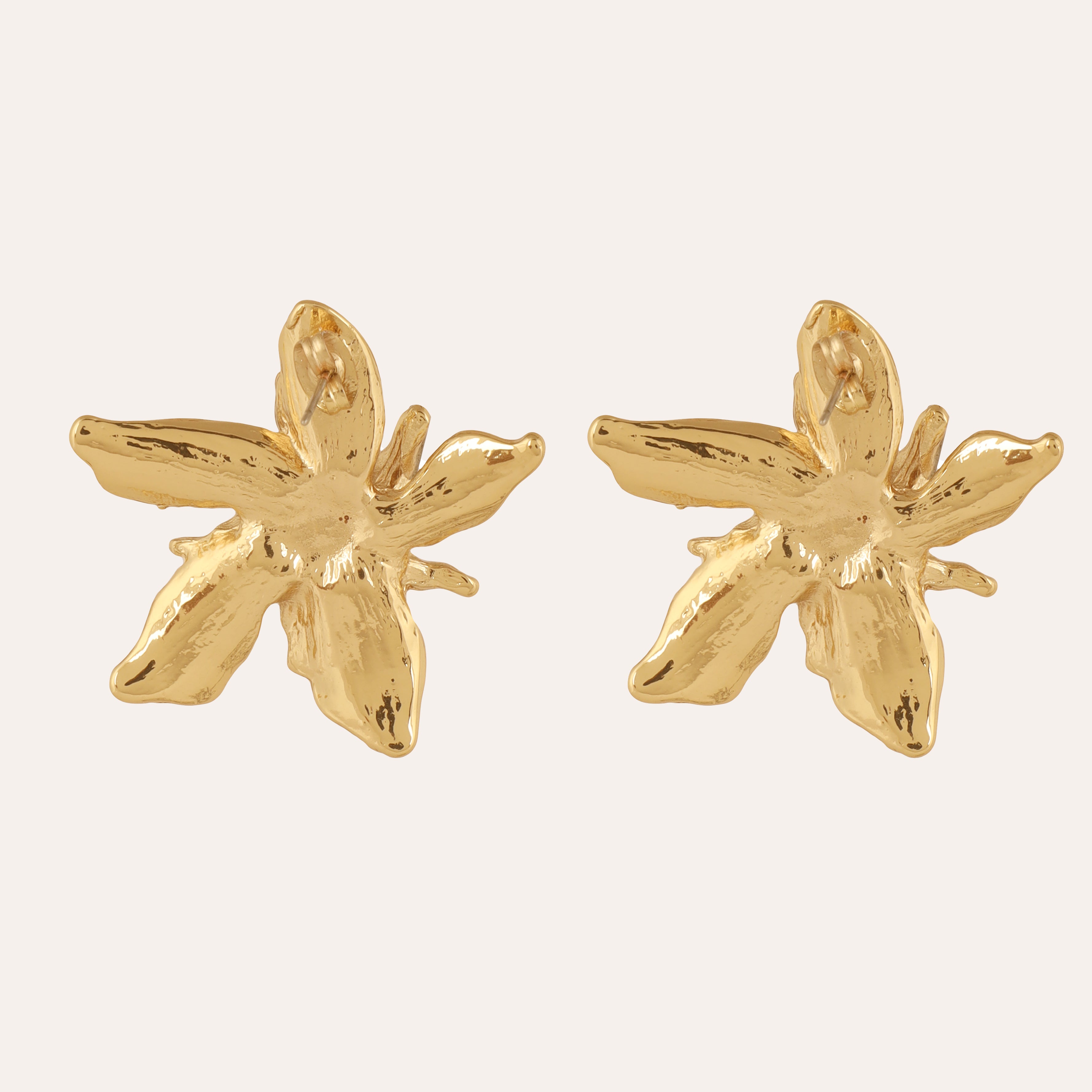 TFC Pretty Posy Gold Plated Stud Earrings-Discover daily wear gold earrings including stud earrings, hoop earrings, and pearl earrings, perfect as earrings for women and earrings for girls.Find the cheapest fashion jewellery which is anti-tarnis​h only at The Fun company