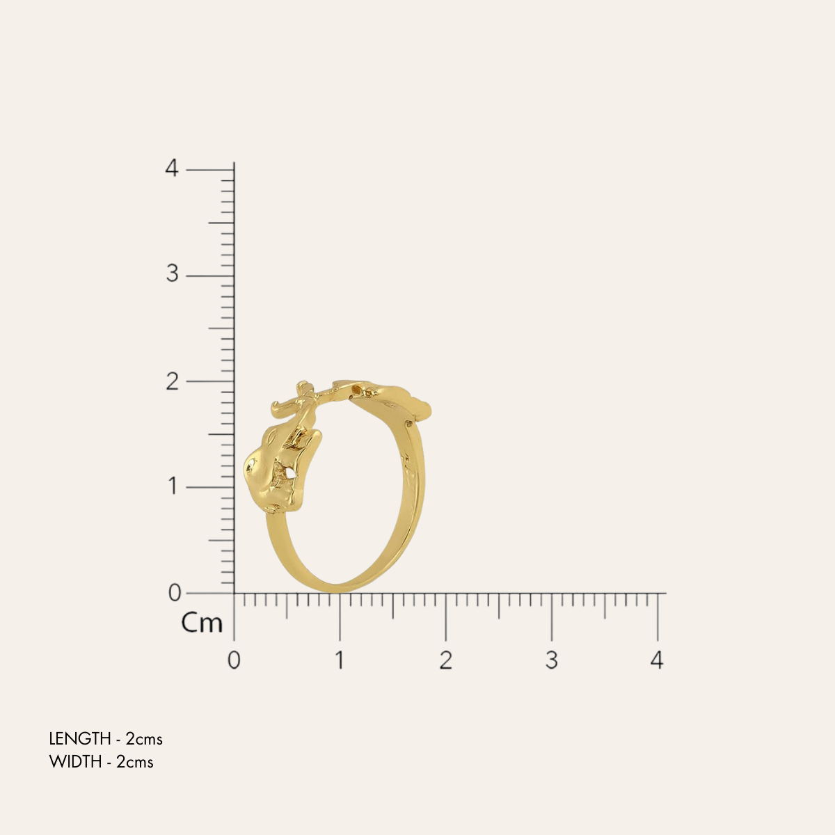 TFC Trunk Trove Gold Plated Ring