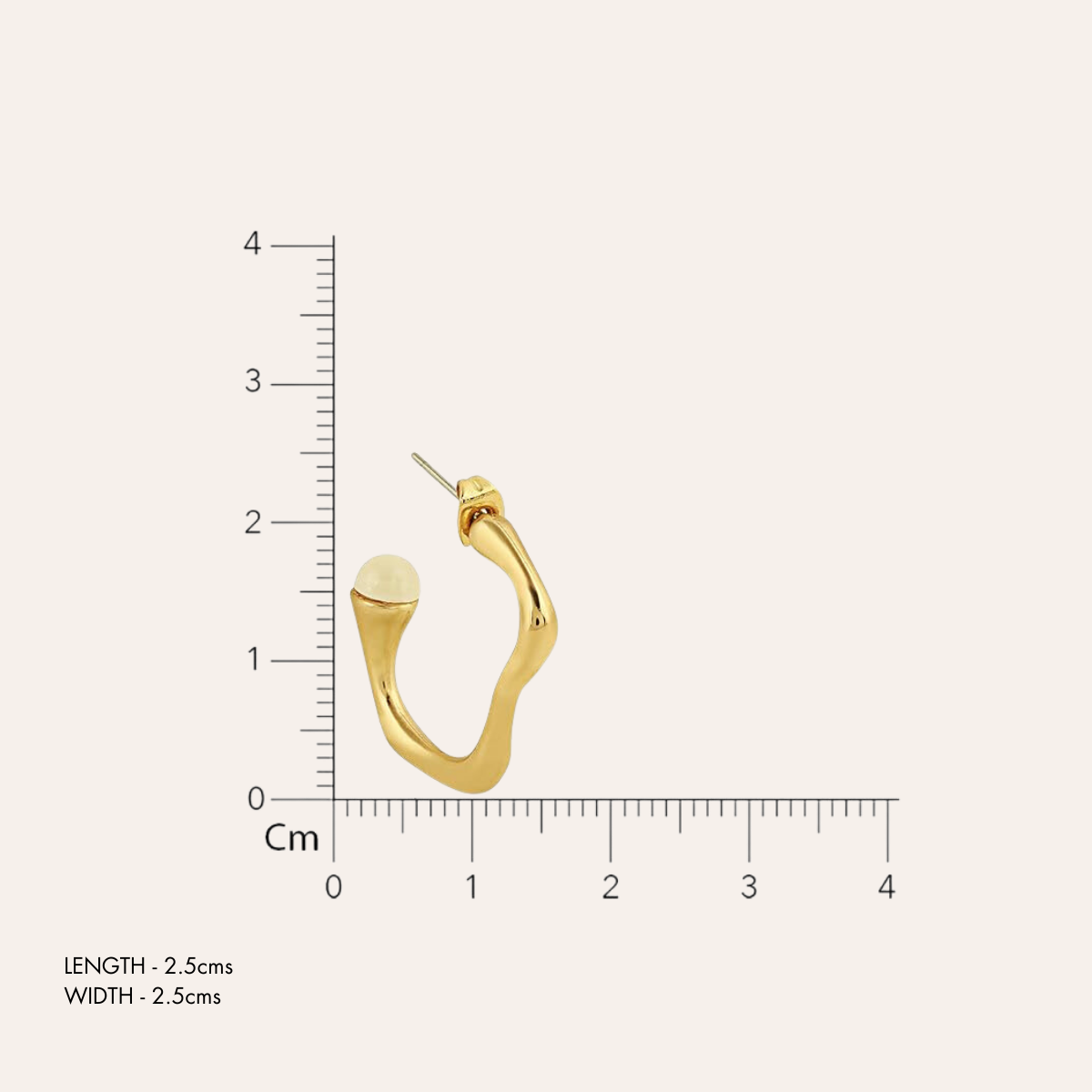 TFC Cuddle Bug Gold Plated Hoop Earrings