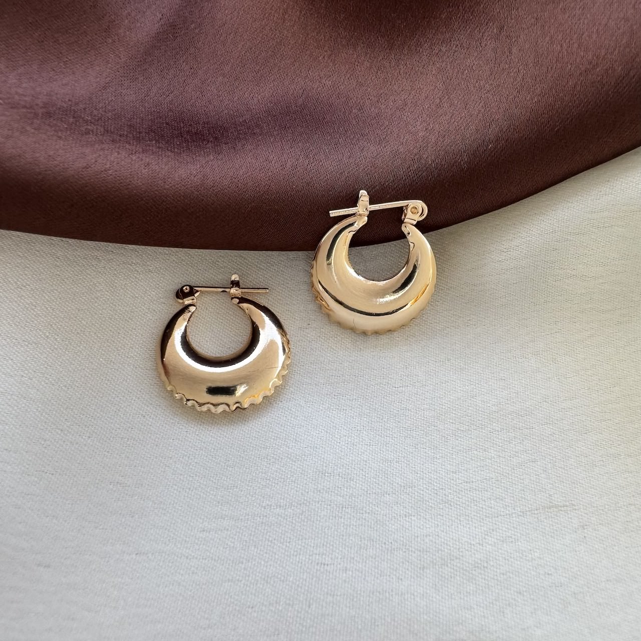 TFC Adorable Gold Plated Hoop Earrings