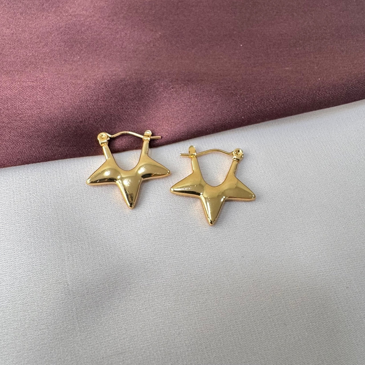 TFC Star Gold Plated Hoop Earrings