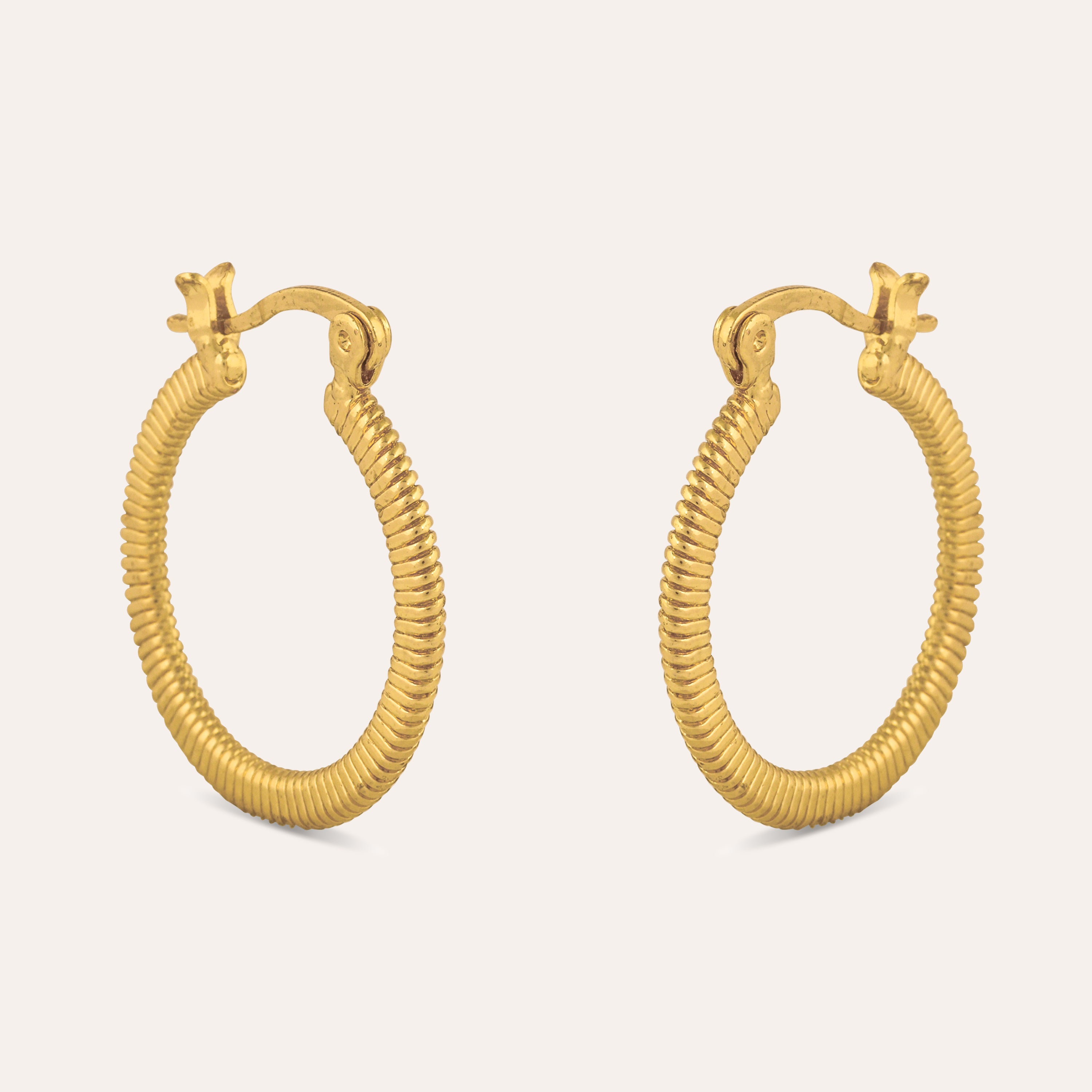 TFC Twinkle Gold Plated Hoop Earrings