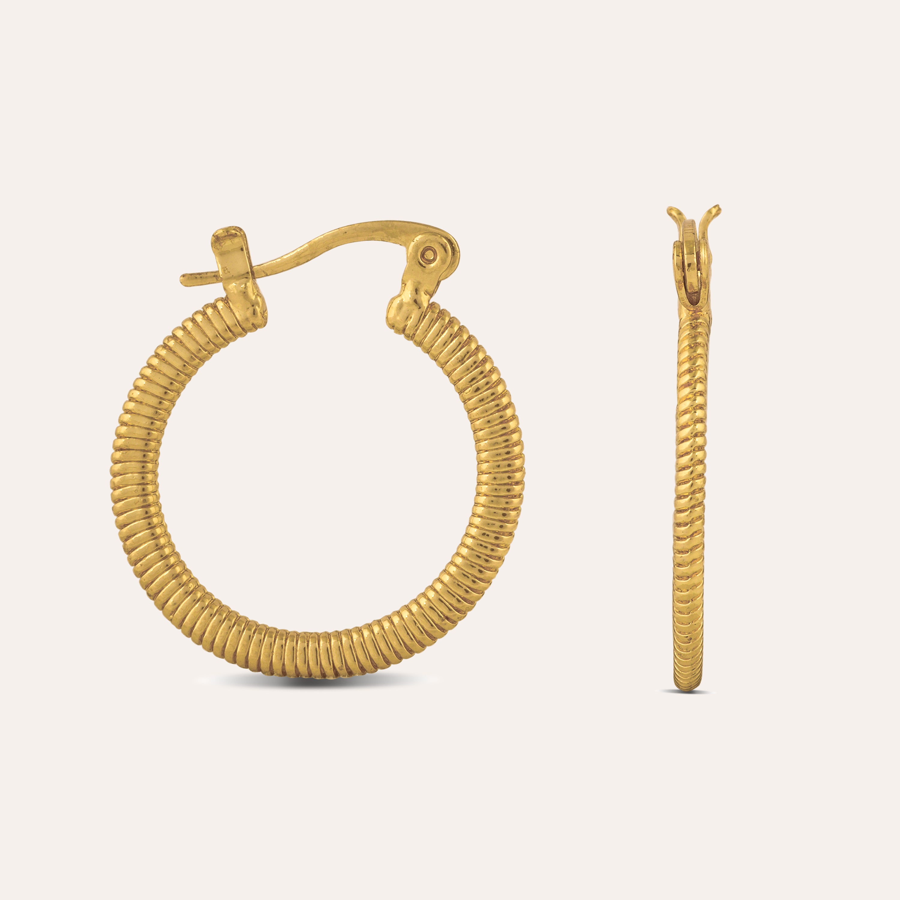 TFC Twinkle Gold Plated Hoop Earrings